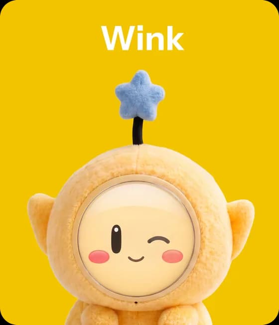 Wink expression